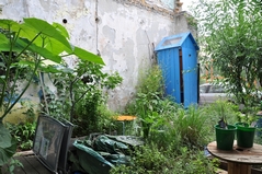 Cliquez sur la vignette pour l'agrandir